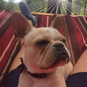 Meet your Posher, Sarah